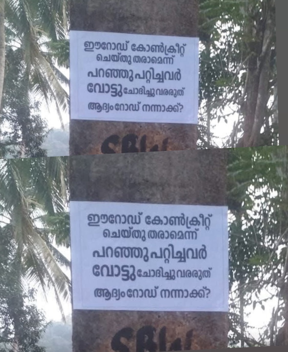റോഡ് ഇല്ലെങ്കിൽ വോട്ട് ഇല്ല; വേറിട്ട പ്രതിഷേധവുമായി താഴെ അരിവയൽ നിവാസികൾ